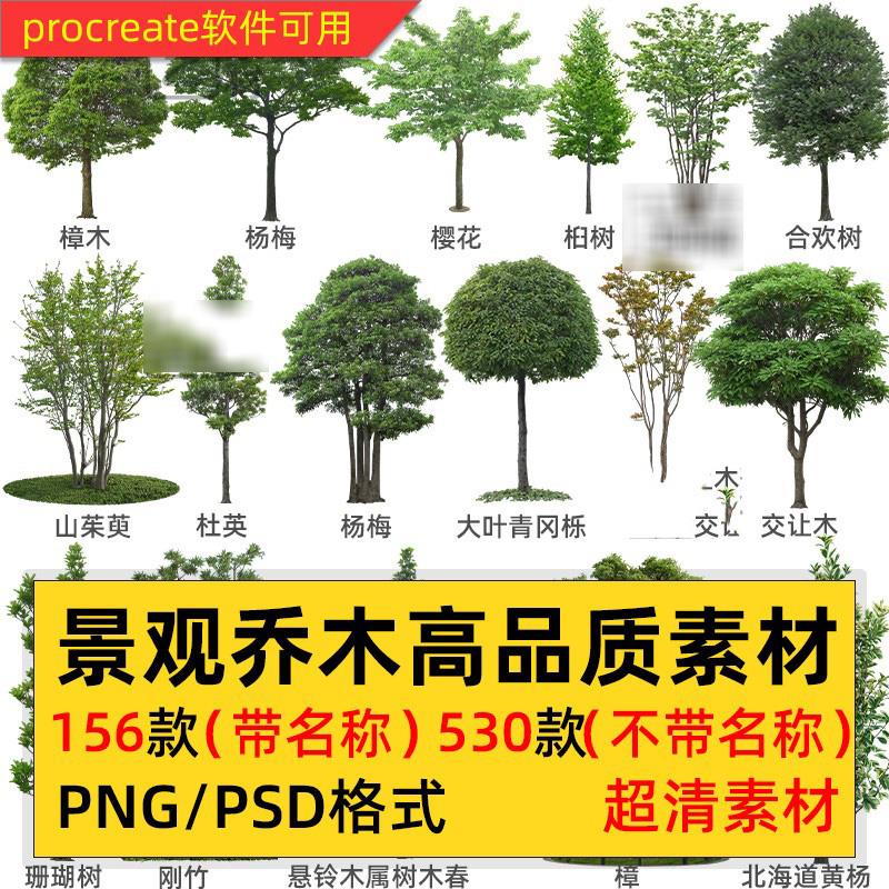 园林景观乔木树木大树植物PNG免抠PS后期效果图PSD带名称绿植素材