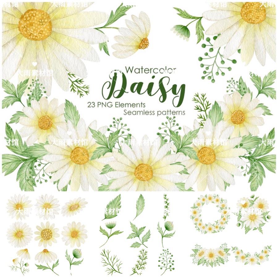 Md12手绘水彩雏菊花朵背景墙纸印花插图卡片海报PNG免抠手帐素材