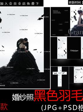 婚纱照黑色羽毛修图背景素材薇拉高级ps素材模板背景二【黑色羽毛