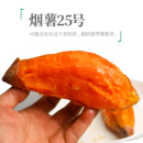 正宗山东糖心蜜薯烟薯25号新鲜农家自种烤地瓜专用红薯小番薯