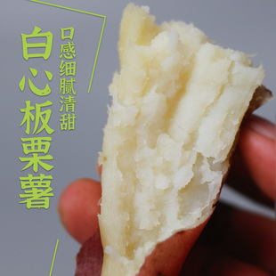 新鲜山东红皮白心板栗红薯农家自种老品种白瓤减肥专用苏薯小番薯