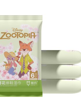 迪士尼擦鞋衣物清洁湿巾