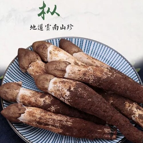 【云南特产新鲜鸡枞】当季新鲜野生菌鲜采鸡枞未开伞鲜甜鸡枞顺丰