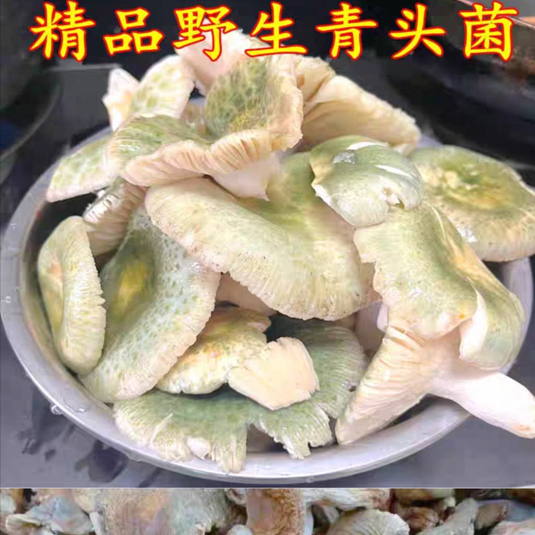 云南特产农家纯野生干货煲汤爆炒美味火锅食材热卖食品推荐青头菌