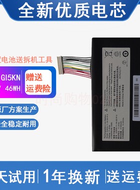 适用 战神 火影 地狱火X5 X6 Z7-KP7GT GE5S02 GI5KN 笔记本电池