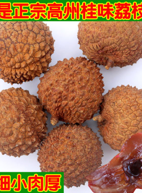 高州农家12A生晒桂味荔枝干核小肉厚新货特靓干荔枝特产500克