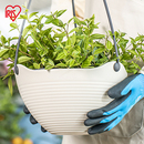 爱丽思吊兰花盆绿萝绿植悬挂式 加厚塑料懒人盆吊篮垂吊自吸水创意