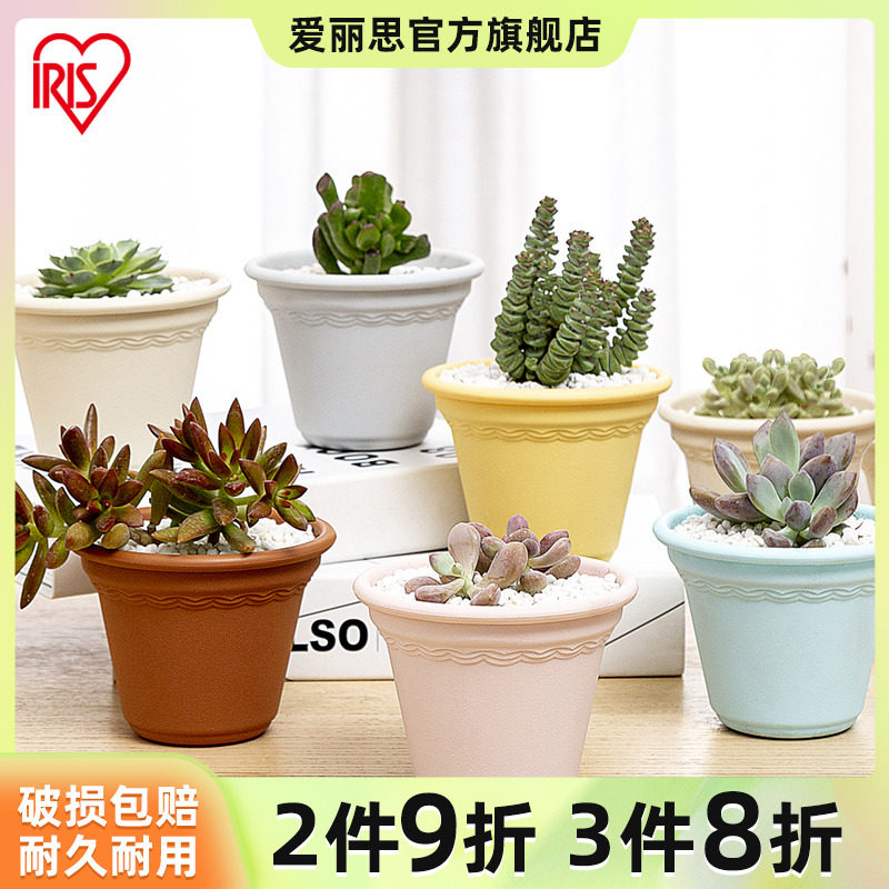 ����˼��ɫ����ֲ�������Լ�������⻨��ֲ������С���谮��˿