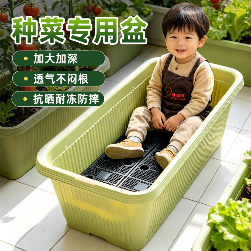 爱丽思种菜塑料耐晒阳台家庭长条