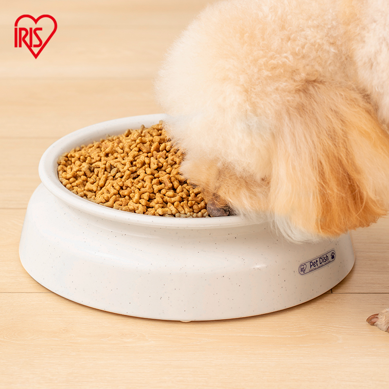 爱丽思猫碗双碗防打翻狗碗饮水器