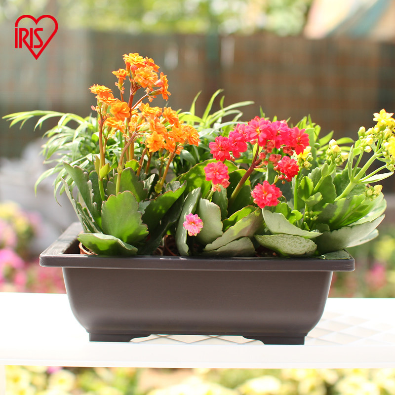 爱丽思树脂塑料阳台花盆园艺方型花盆爱丽丝种菜盆厂家直销,鲜花速递/花卉仿真/绿植园艺,花盆,淘宝优惠券,粉丝福利购,淘宝优惠卷