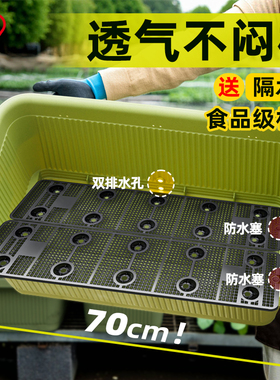 爱丽思阳台菜盆家庭蔬菜种菜盆专用箱室内长条花盆塑料种植爱丽丝