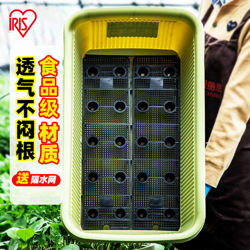 爱丽思种菜塑料耐晒阳台家庭长条