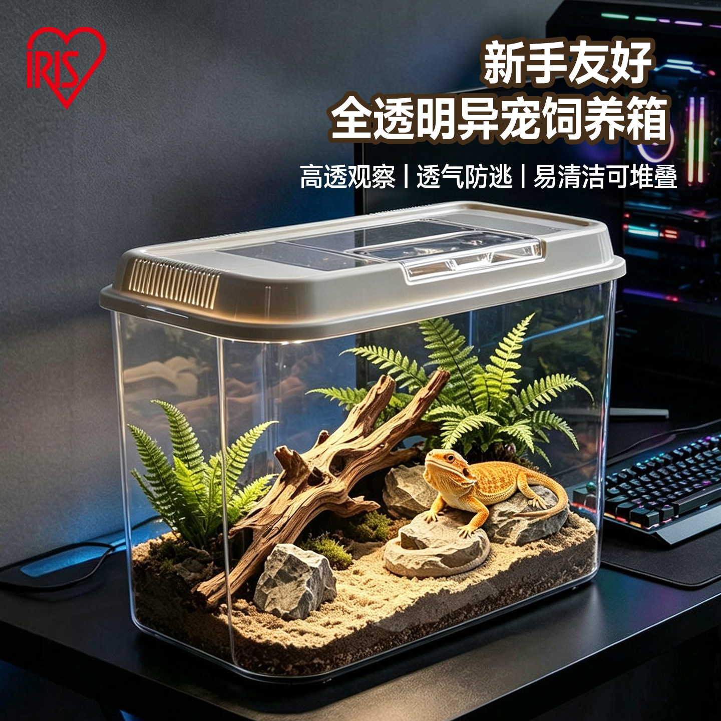 爬宠饲养箱昆虫饲养盒图片
