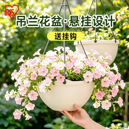 iris爱丽思zen中等垂吊塑料盆景