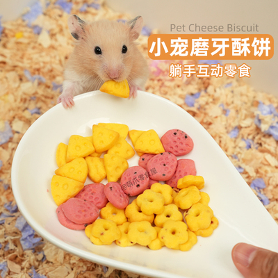 仓鼠磨牙芝士小饼干金丝熊磨牙棒