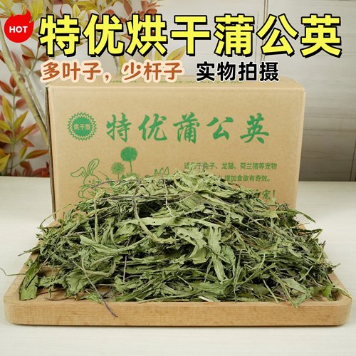 兔子龙猫蒲公英干草清热解毒