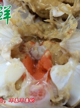 莱州湾正宗海捕梭子蟹叼龙嘴花刺母蟹青蟹保鲜不保活/冻蟹3两/1斤