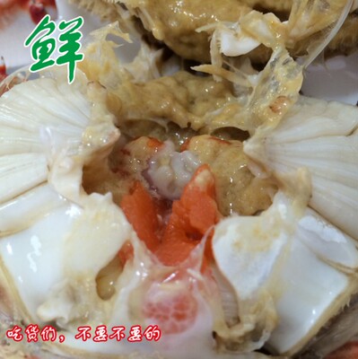 莱州湾正宗海捕梭子蟹叼龙嘴花刺母蟹青蟹保鲜不保活/冻蟹3两/1斤