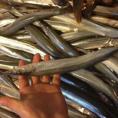 鲜马步鱼婴儿鱼骨动鱼1斤5-6条