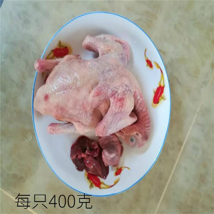 Èé¸ë*3Ö»ÐÂÏÊ¿¾¸ë×ÓÌÀÔÓÁ¸Ôи¾ÓýӤ׸ÔÂ×ÓÊõºóìÒÌÀÓªÑø²¹¸Æ¼ÇÒäÁ¦