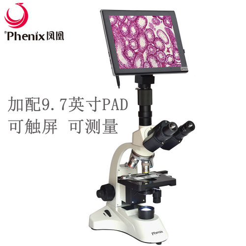 凤凰专业生物显微镜平场消色差物
