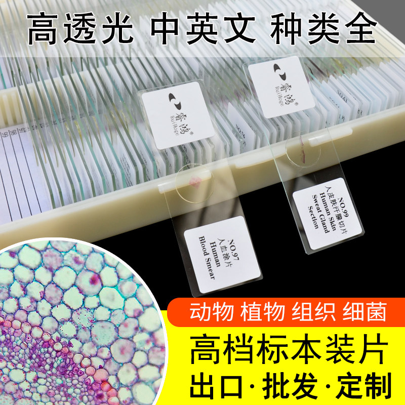 生物显微镜标本观察切片套装动物植物细胞细菌实验儿童学生载玻片