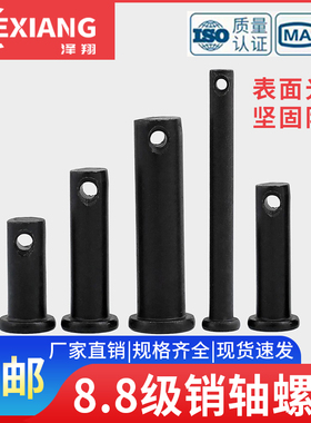 8.8级销轴带孔插销平头销GB882高强度销钉穿销销子定位螺丝M4-M50