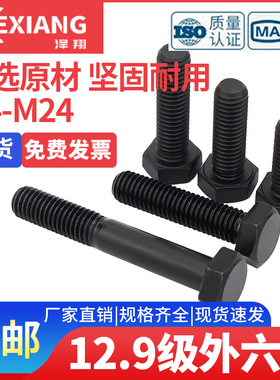 12.9级外六角螺丝螺栓高强度M4M5M6M8M10M12M14M18M20M22M24盒装