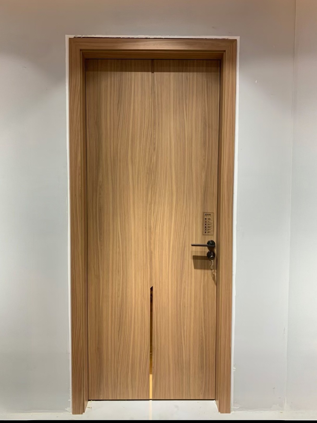 WPC门木塑门树脂门室内门卧室门医院门学校酒店民宿定制门防白蚁