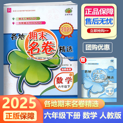 各地期末名卷精选六年级数学下册