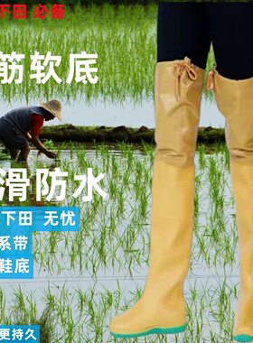 插秧靴农田靴农用男女软底水田鞋袜插秧鞋捕鱼鞋下田下水鞋雨鞋C9