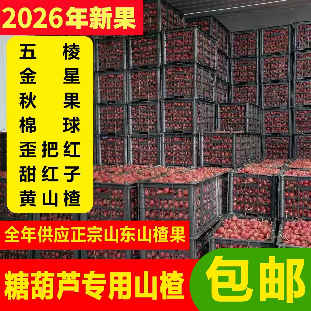 2026年新鲜大山楂批发五棱歪把红秋果金星甜红子糖葫芦山楂包邮