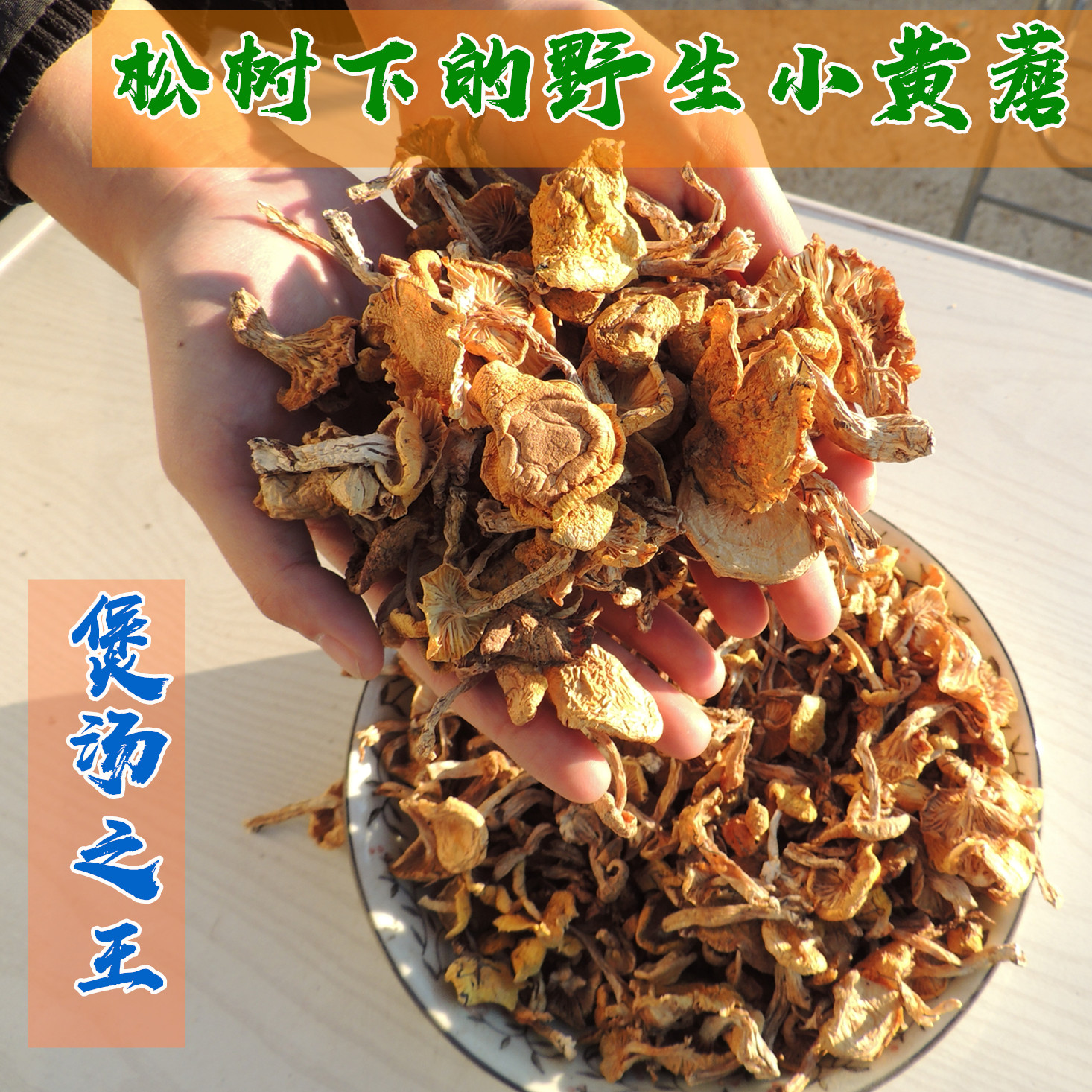 新货东北野生小黄蘑菇干黄油蘑500g干货小松蘑香菇类包邮天然精选