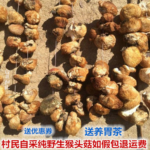 2026 东北山里大兴安岭野生猴头菇250g干货煲汤养胃免费打粉保真