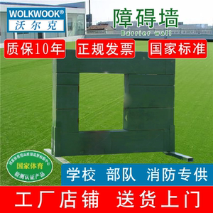 云梯翻墙体能拓展大型训练器材