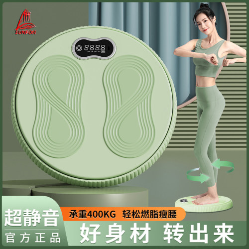 家用健身器材扭腰盘瘦身智能