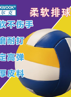 WOLK WOOK正品排球中考专用标准5号初中小学生比赛耐磨加厚排球