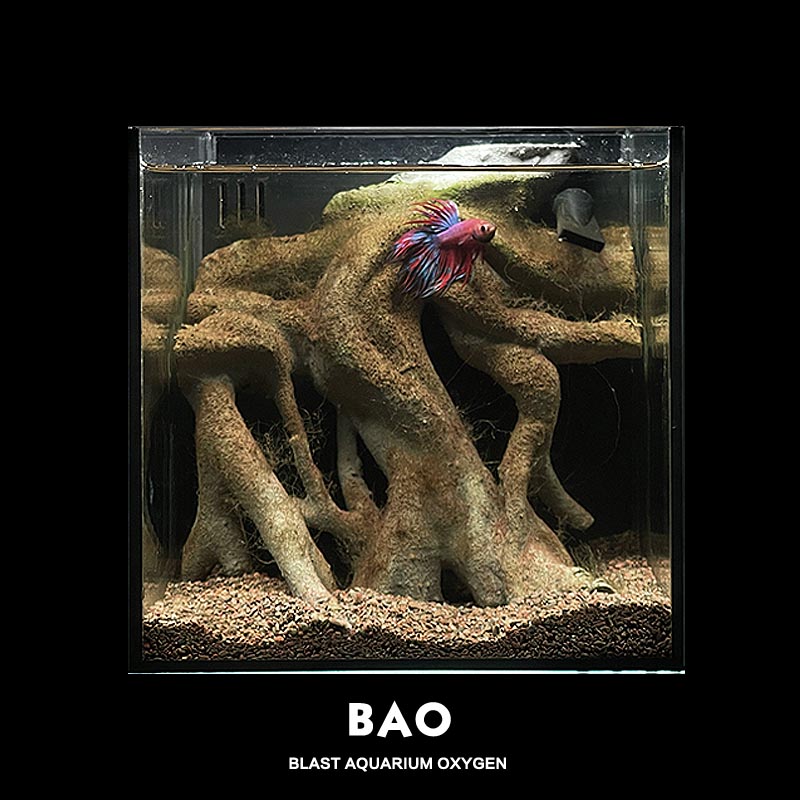BAO爆氧森林 斗鱼专用缸桌面鱼缸古树根造景背滤一体式水族微景观
