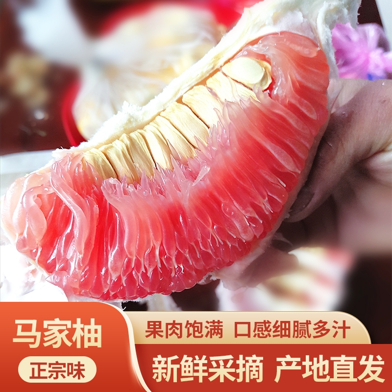 果晓棠高山广丰马家柚风味香爆汁