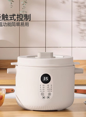 龙的LD-DG2530家用电炖锅电炖盅煮粥神器煲汤锅炖汤锅 BB粥煲汤锅