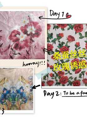 桑蚕丝布料桑蚕丝衣服连衣
