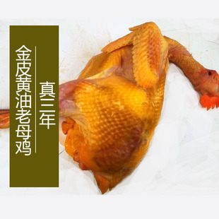 [三年老母鸡}密云农村散养土鸡柴鸡老母鸡 金皮黄油 顺丰