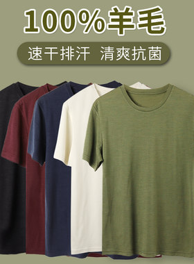 羊毛短袖t恤速干排汗轻奢针织