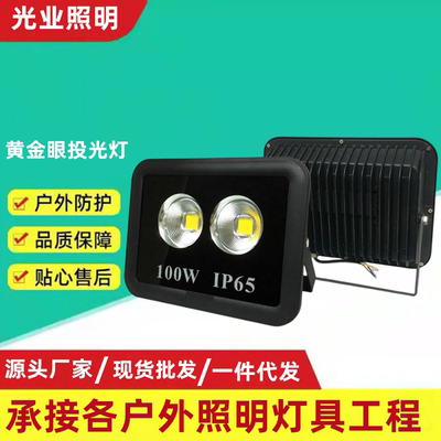 LED户外防水广告招牌泛光灯黄金眼投光灯50W100W200W300W400W500W