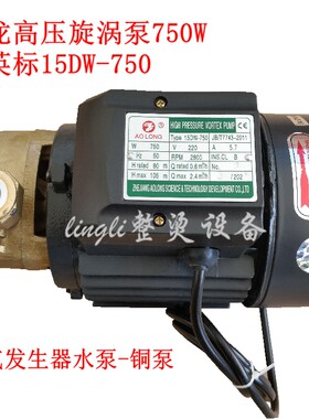 正品奥龙蒸汽发生器铸铜旋涡泵