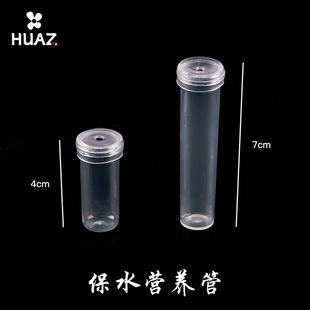 洋兰管鲜花保水营养管透明塑料保水管切花保水自用花店花艺资材