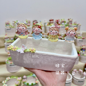 20点 手工粗陶猪猪盆透气生石花PP肉锥盆一物一拍