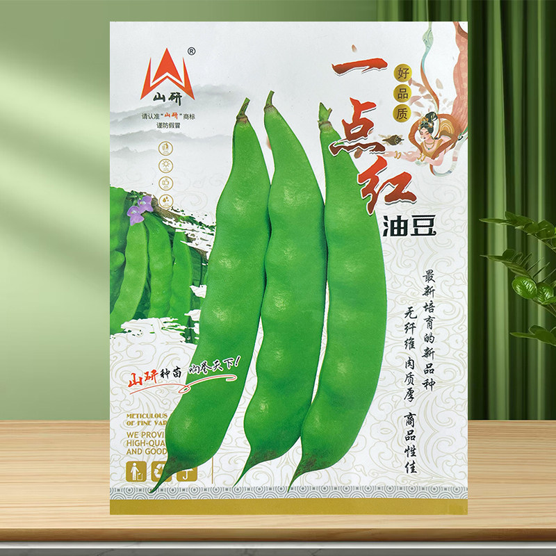油豆一点种子高产阳台盆栽蔬菜图片
