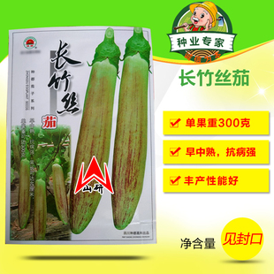 长竹丝茄茄子种子早熟彩茄籽蔬菜春季夏秋冬季种青蔬菜菜种孑阳台